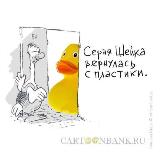 Карикатура: пластическая хирургия, Алёшин Игорь