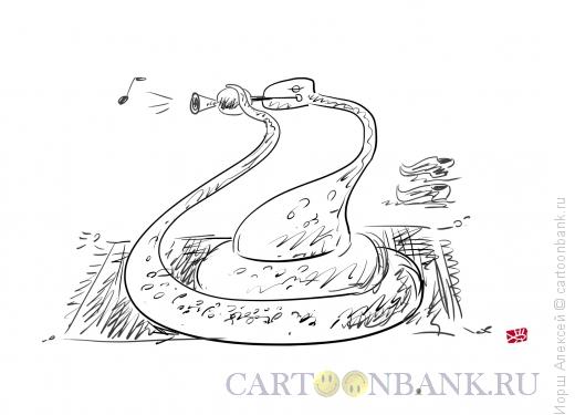 Карикатура: Змея, Иорш Алексей