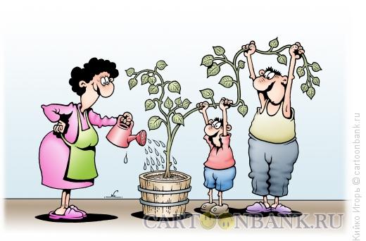 Карикатура: Домашнее растение, Кийко Игорь