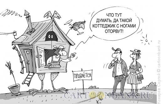 Карикатура: коттеджик, Кокарев Сергей