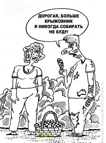 Карикатура: Крыжовник, Мельник Леонид