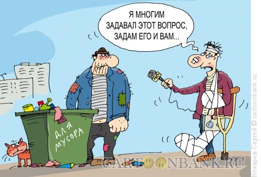 Карикатура: опрос, Кокарев Сергей