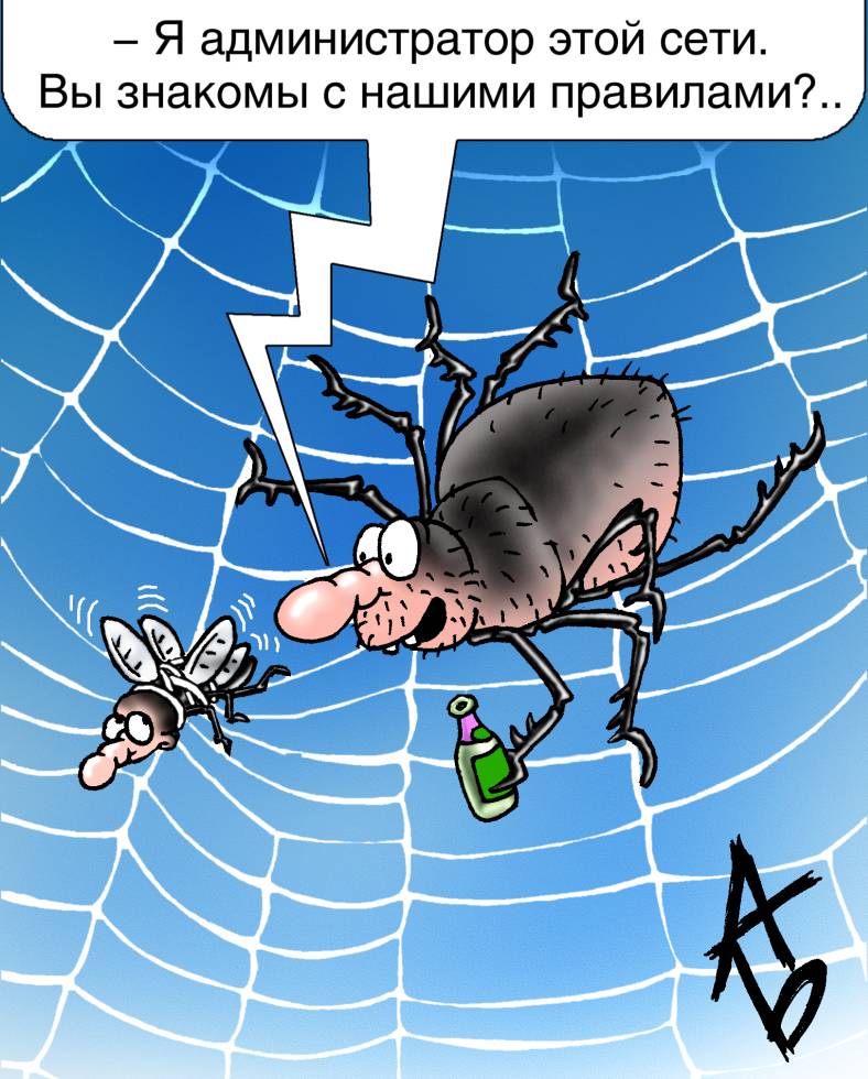 Мем: — Что сказал паук, когда увидел муху запутавшуюся в его паутине? — Добро пожаловать в сеть!, Казачка26