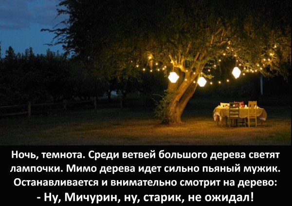 Мем: Лампочки на дереве, Vladimir Matveev