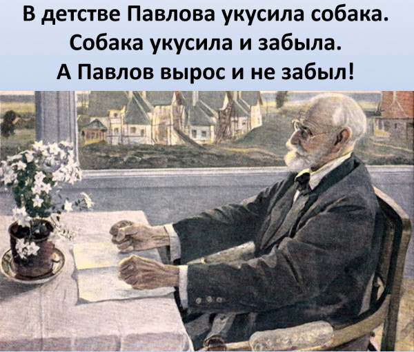Мем: Павлов и собака, Vladimir Matveev