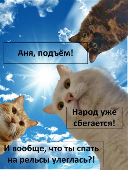 Мем: Коты Анны К.