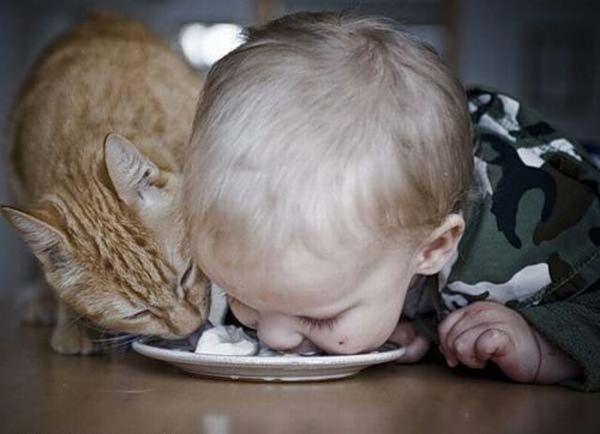 Мем: Первый ребенок — все стираем, гладим, кипятим!!! Второй ребенок — стираем, иногда гладим, смотрим чтобы не ел из миски кота! Третий ребенок — если ребенок поел из миски кота, то это проблемы кота!