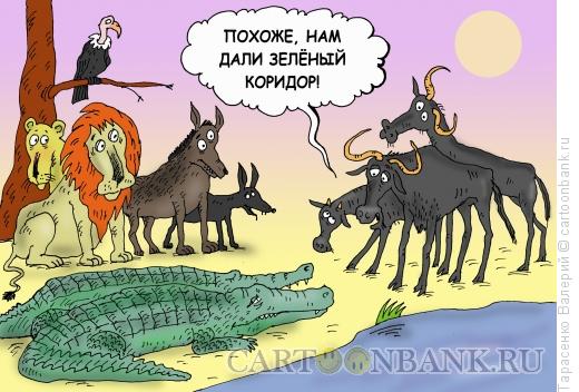 Карикатура: Зеленый коридор, Тарасенко Валерий