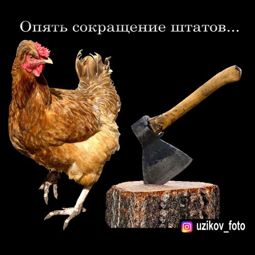 Мем: оптимизация..., Узиков Александр