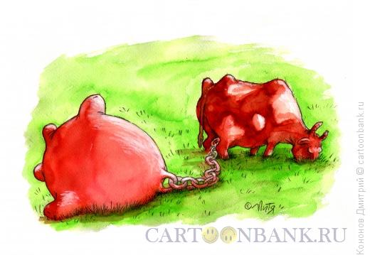 Карикатура: корова, Кононов Дмитрий