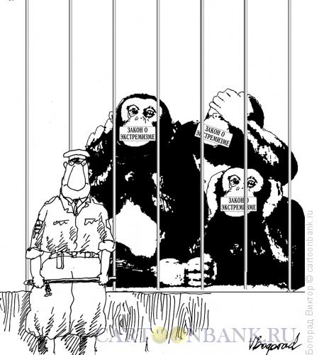 Карикатура: Закон об экстремизме, Богорад Виктор