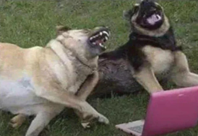 Мем: А потом он сказал: "Заходи, он не кусается". И я его укусил !!!