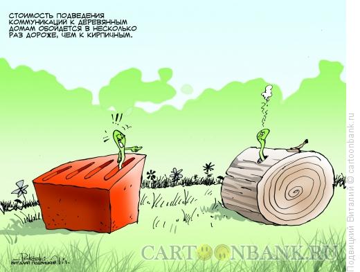 Карикатура: Кирпич и дерево, Подвицкий Виталий