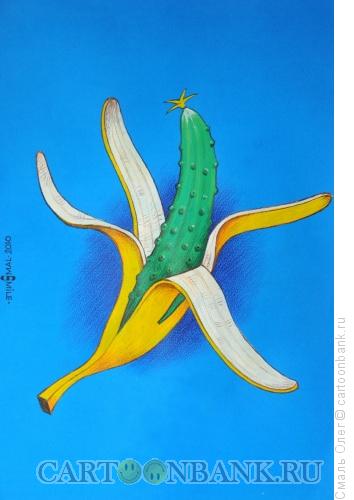 Карикатура: Банановый огурец, Смаль Олег