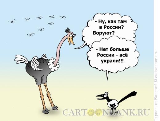 Карикатура: Неперелетная птица, Тарасенко Валерий