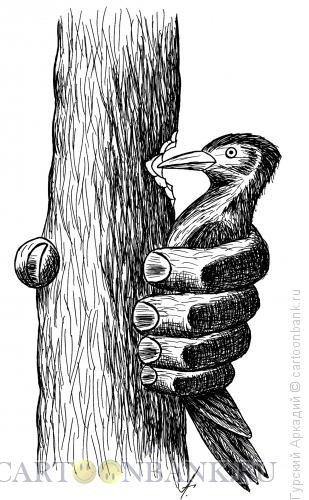 Карикатура: дятел в руке, Гурский Аркадий