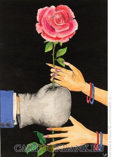Карикатура: Шипы розы, Анчуков Иван