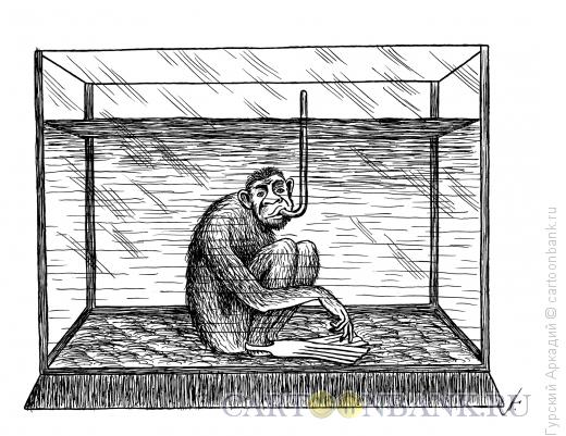 Карикатура: обезьяна, Гурский Аркадий