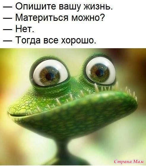 Мем, Владимир Олишефский