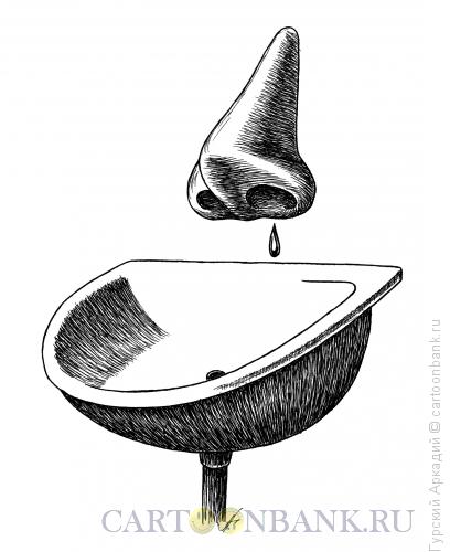 Карикатура: нос и раковина, Гурский Аркадий