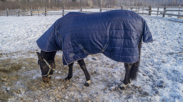 Мем: Кто? Конь в пальто!, Виктор Багаев