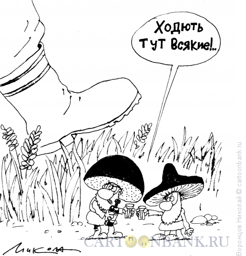 Карикатура: Грибы, Воронцов Николай