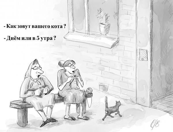Карикатура: Кот, Владимир Силантьев