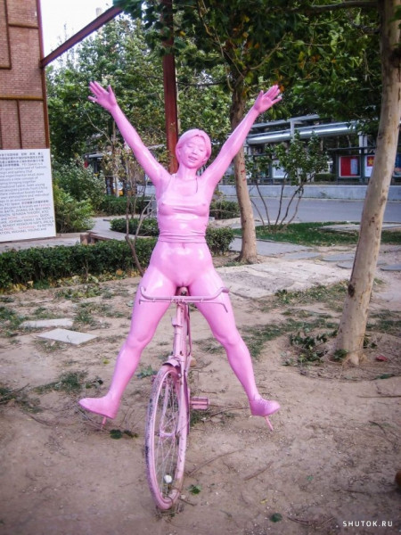 Мем: Велосипед с вибратором, для одиноких дам...