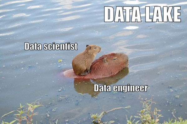 Мем: Как работает big data, Консильери