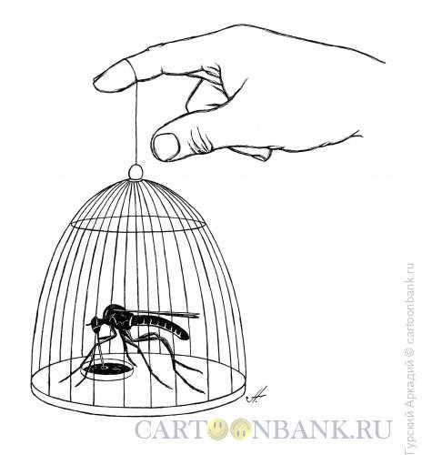 Карикатура: комар в клетке, Гурский Аркадий