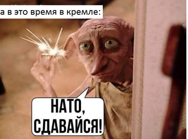 Мем: ната сдавайсю, Русский Витязь