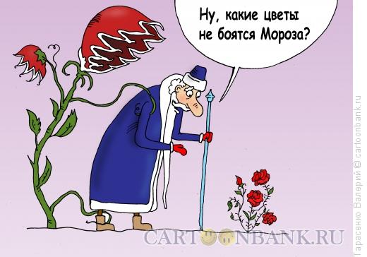 Карикатура: Эхо, Тарасенко Валерий