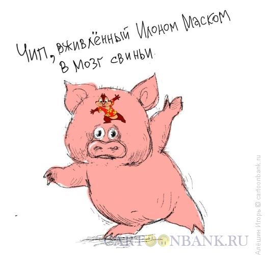 Карикатура: Чип, Алёшин Игорь