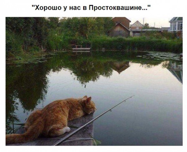 Мем: Рыбалка