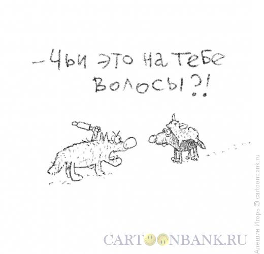 Карикатура: ревность волчицы, Алёшин Игорь