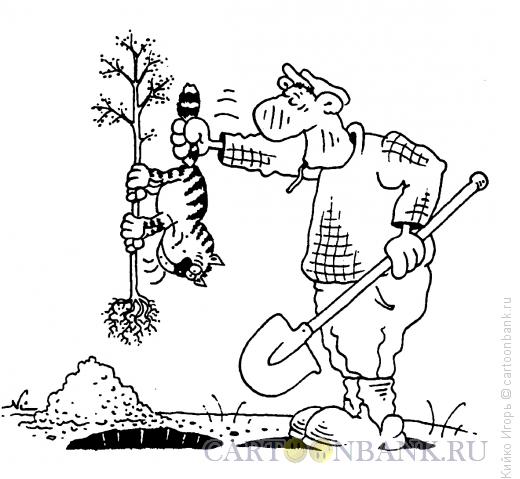 Карикатура: Кот как инструмент, Кийко Игорь