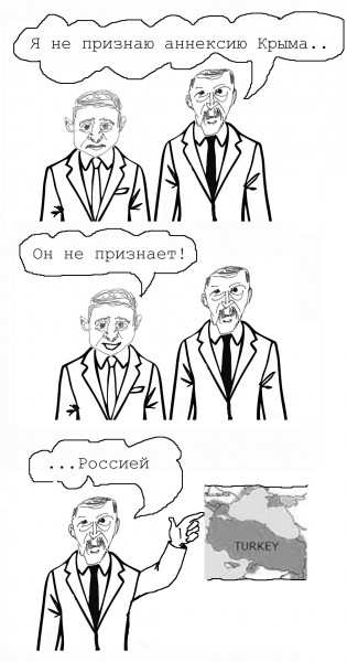 Карикатура: Пресс-конференция Эрдогана и Зеленского, Яна Запутина