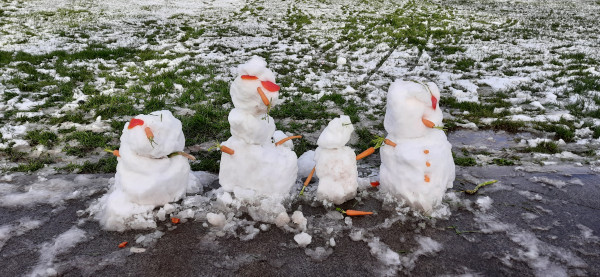 Мем: Снеговики в Ирландии, Repa