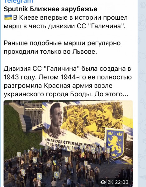 Мем: Никаких нацистов в Украине нет!, Максим Камерер
