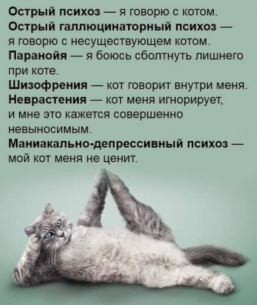 Мем: Коты в психиатрии