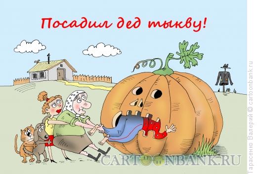 Карикатура: Огород, Тарасенко Валерий
