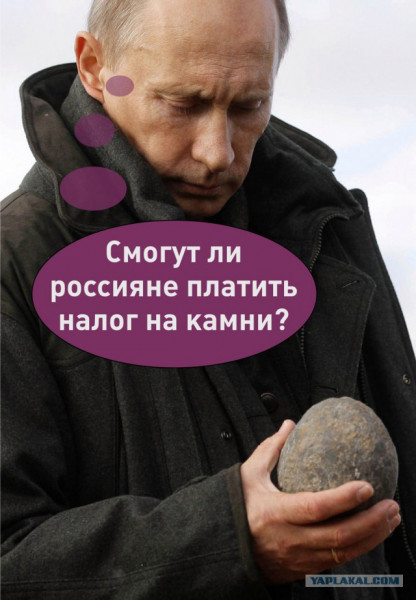 Мем: Смогут ли россияне платить налог на камни?