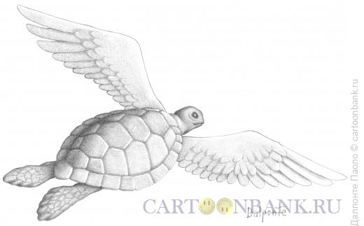 Карикатура: fling turtle, Далпонте Паоло