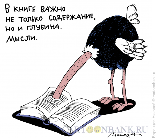 Карикатура: Содержание книги, Воронцов Николай