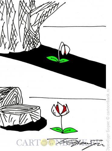 Карикатура: цветок и тень, Эренбург Борис
