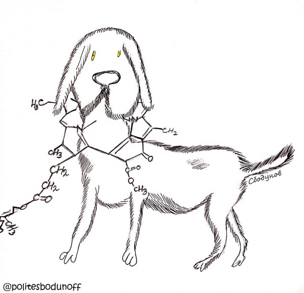 Карикатура: Любимый пес химика-органика, Ипполит Сбодунов