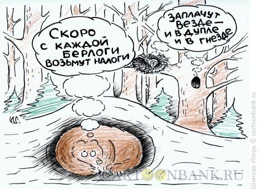 Карикатура: Налогоожидание, Шинкар Игорь