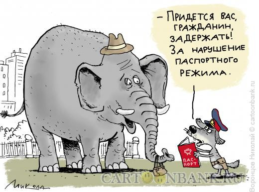 Карикатура: Паспортный режим, Воронцов Николай