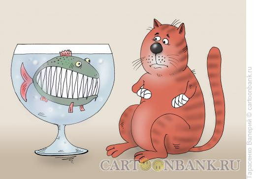 Карикатура: Не золотая рыбка, Тарасенко Валерий