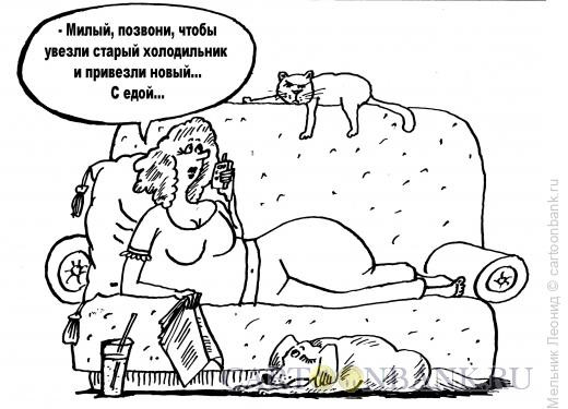Карикатура: Современная хозяйка, Мельник Леонид